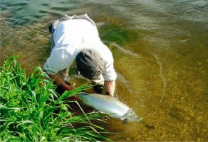 wessex chalk stream